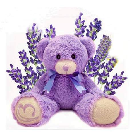 lavender bear microwave